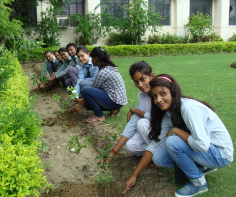 Plantation for Green Future