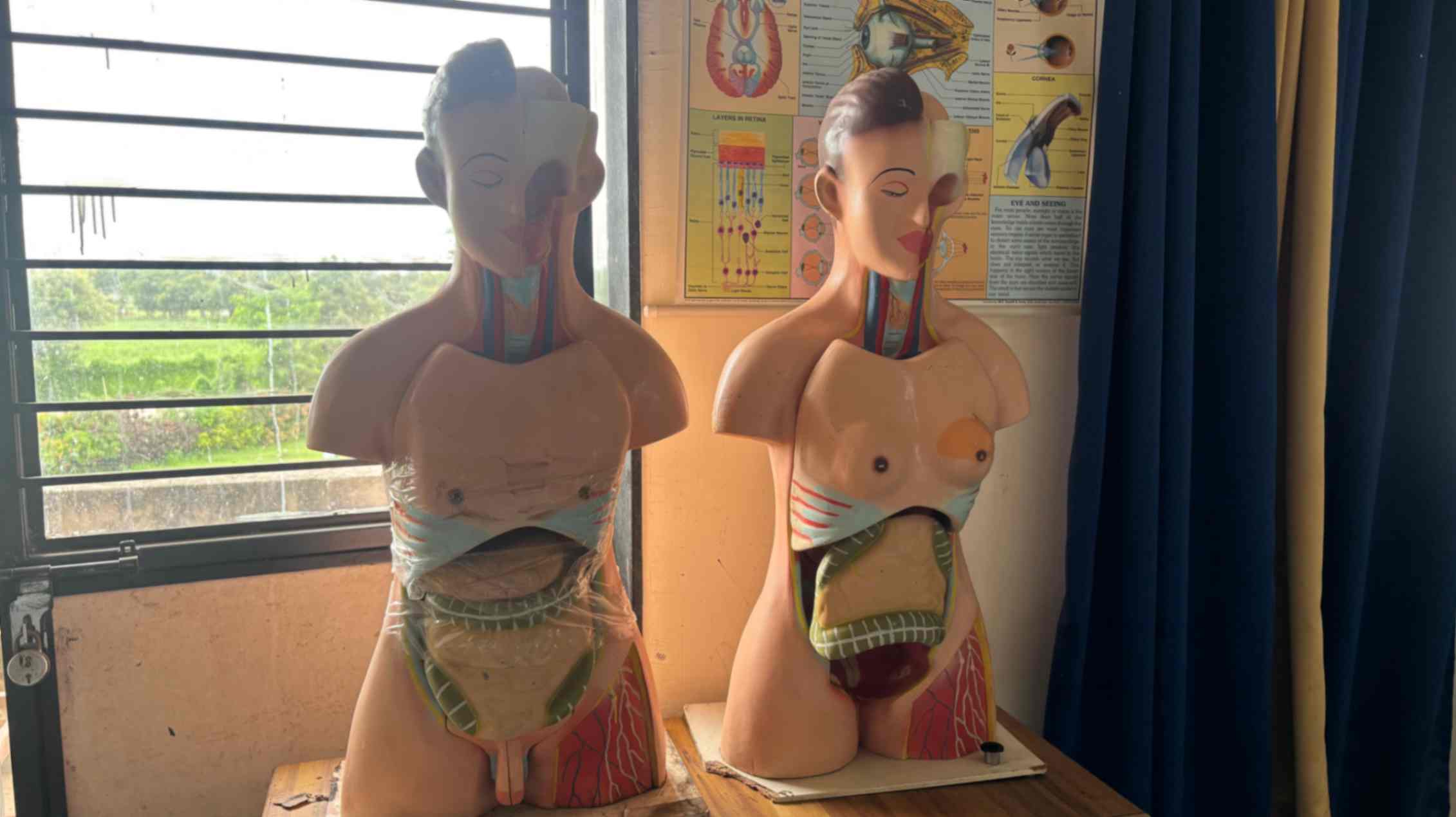 Exploring Human Anatomy for Better Pharmacy.